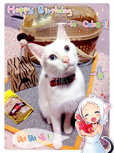 後記：十一月十一，摳摳是壽星！