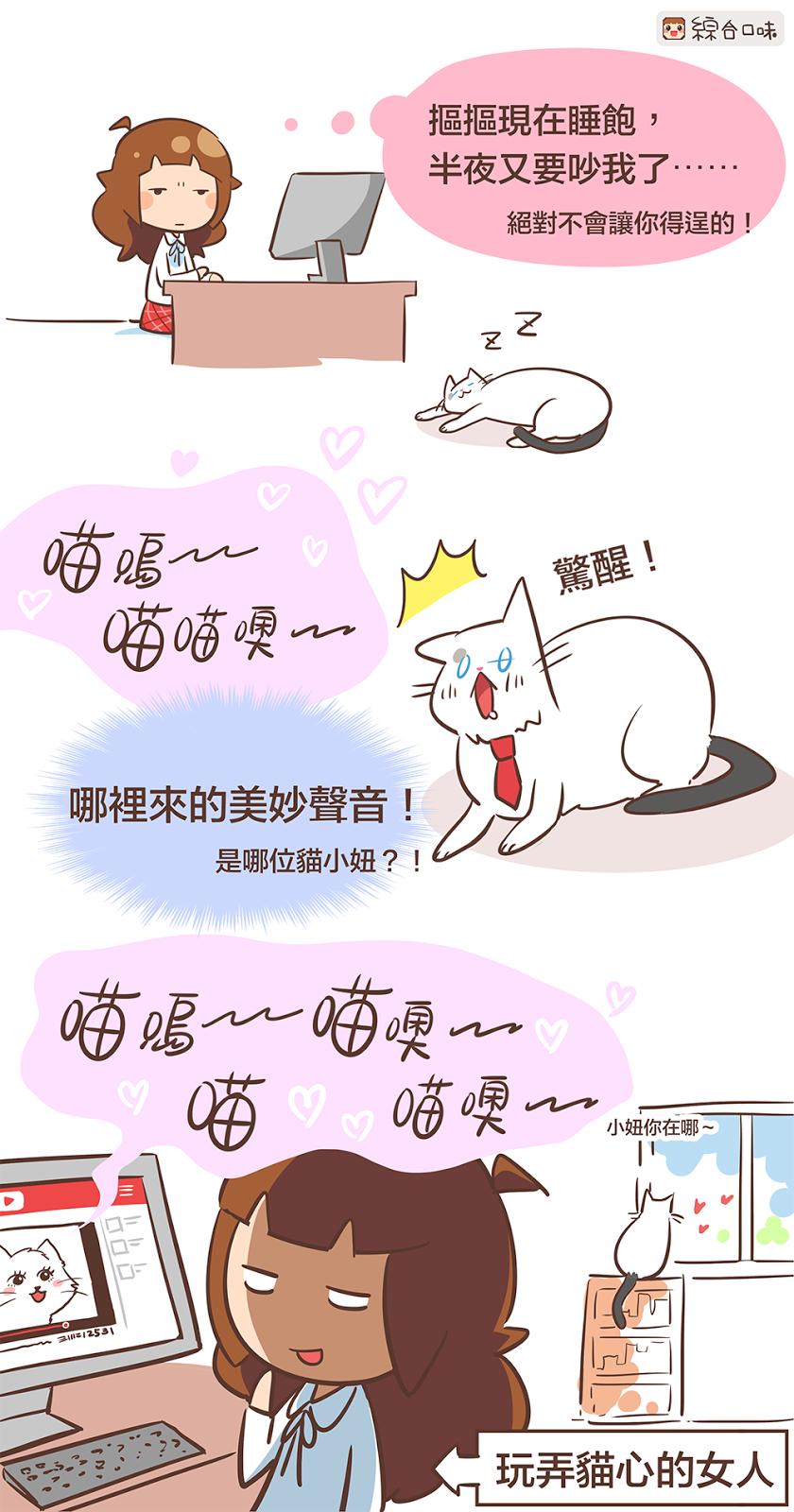 貓咪晚上不睡覺怎麼辦？