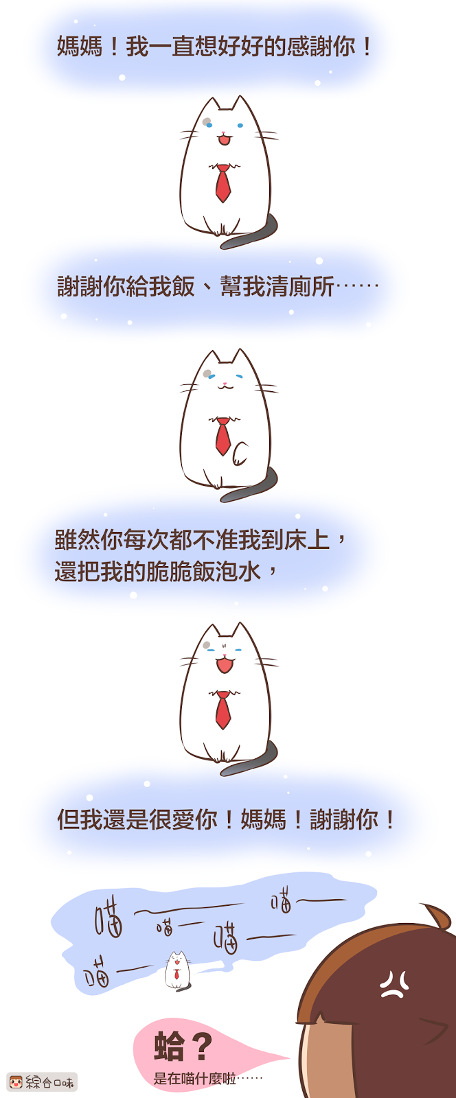 貓的感謝