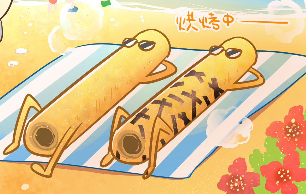海邊走走蛋捲綜合口味海邊日光浴 海邊走走蛋捲綜合口味海邊日光浴