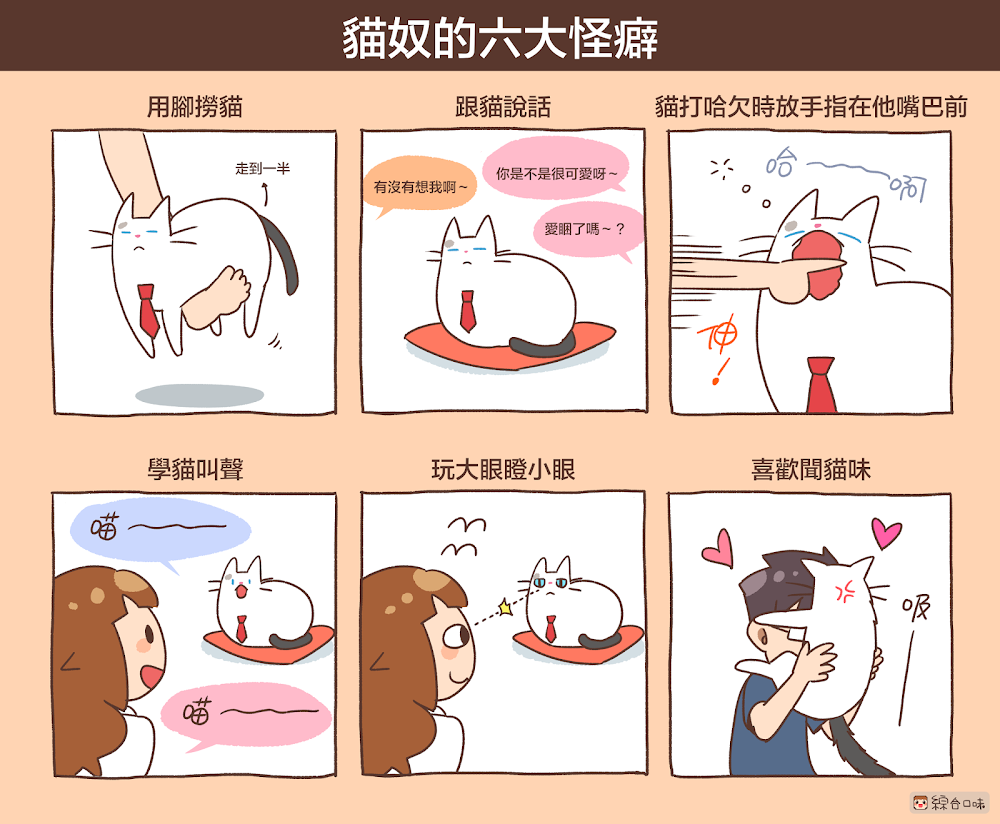 貓奴的六大怪癖