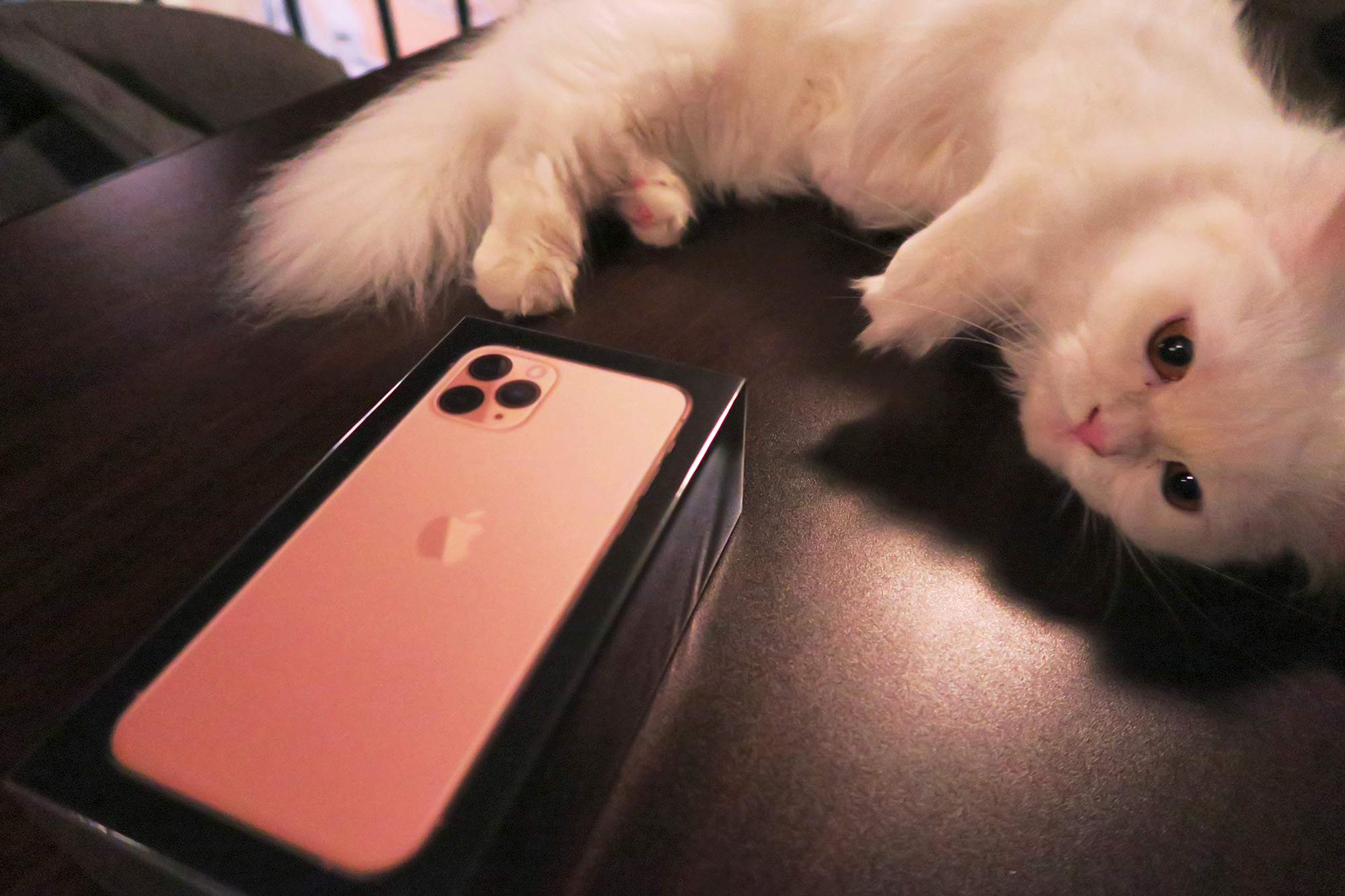 iPhone 11 Pro 外盒