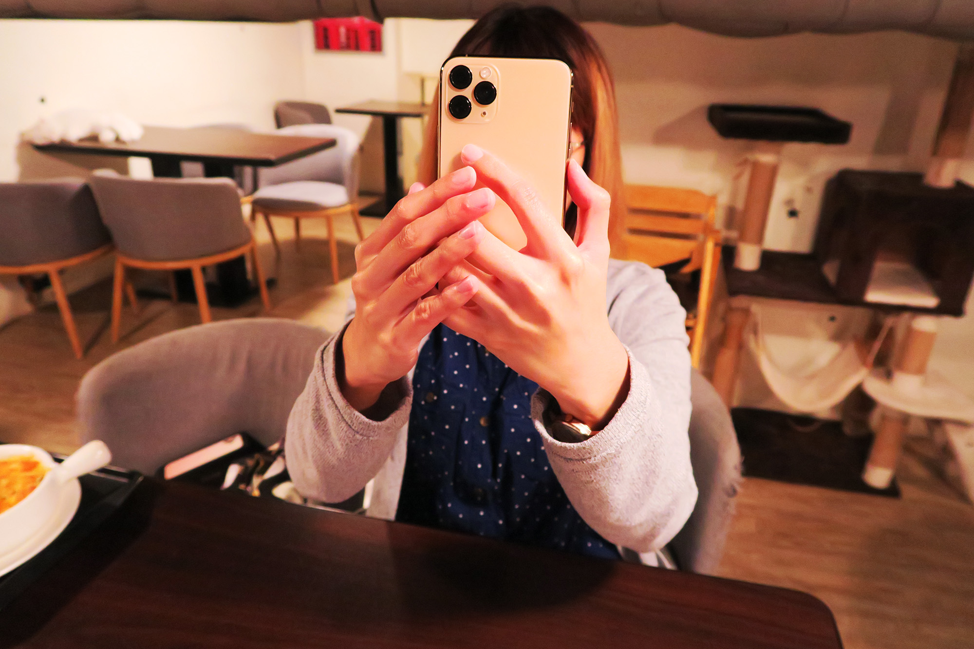 iPhone 11 Pro 金色 Face ID