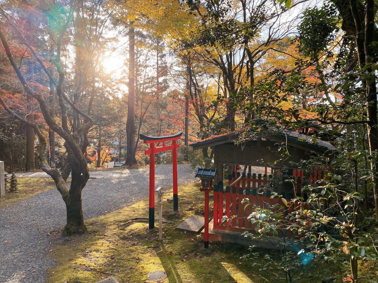 泉湧寺楓葉
