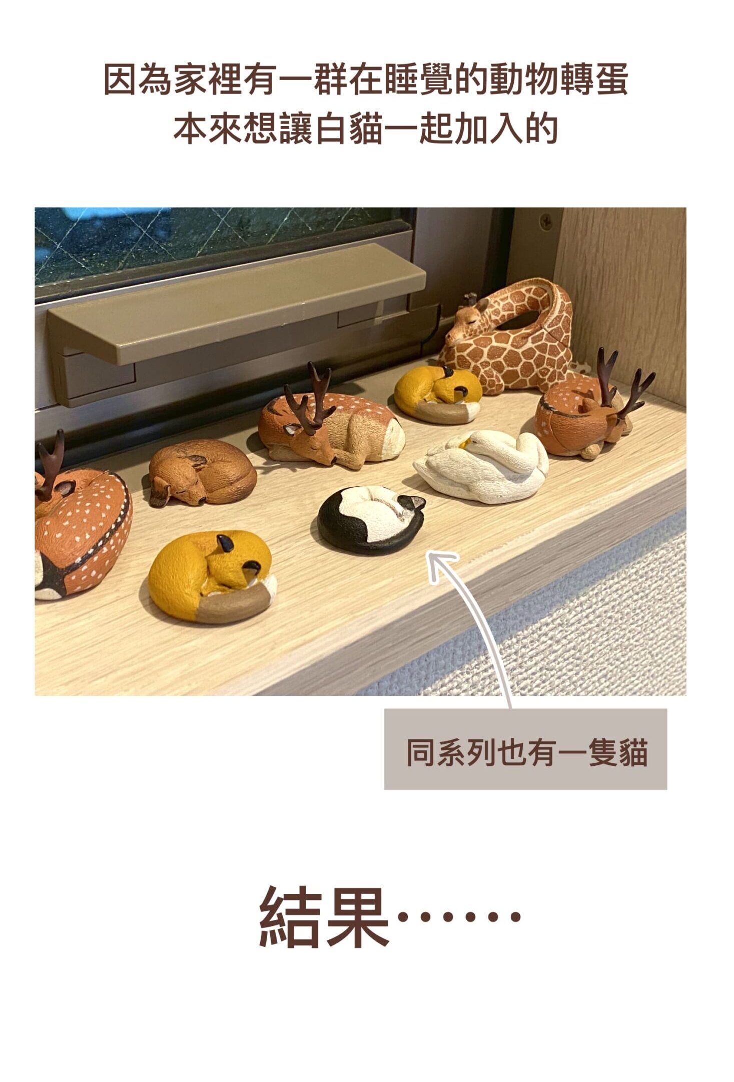 因為家裡有一群在睡覺的動物轉蛋，本來想讓白貓一起加入的，同系列也有一隻貓，結果⋯⋯